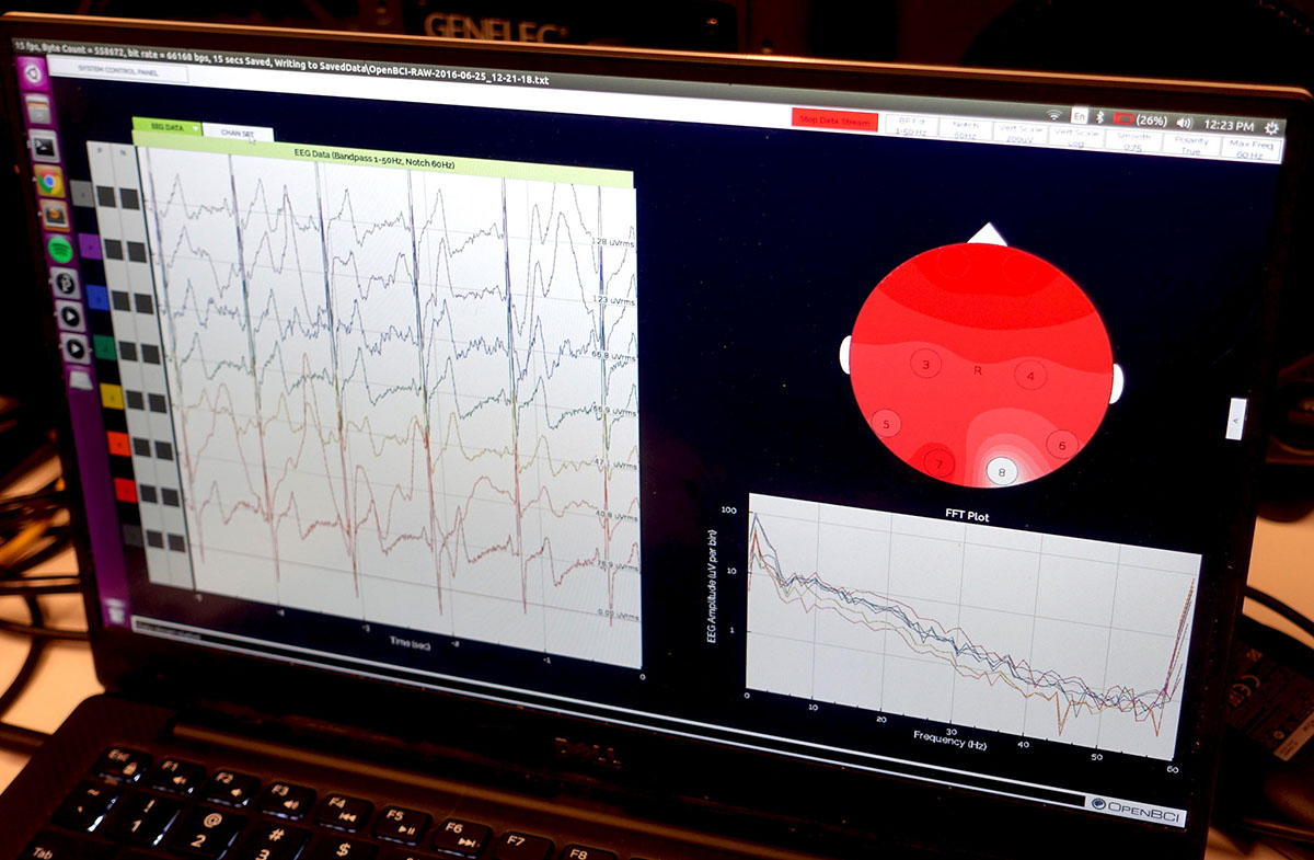 The interface showing the raw brainwave data